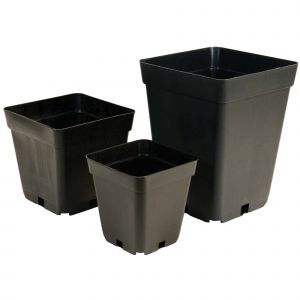 Square Pot (5lt, 7lt, 11lt, 18lt, 25lt)