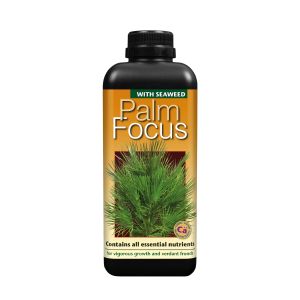GT Palm Focus 1L