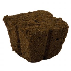 Eazy Plug Tray (Organic Dry) (x24, x77)