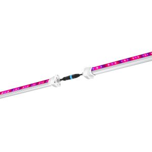Maxibright MaxiLED Pro Under Canopy LED 2 x 120W