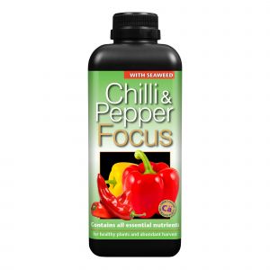 GT Chilli Focus 100ml, 1lt
