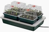 Garland Fab 4 Electric Propagator