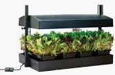 Garland Grow Light Garden Black