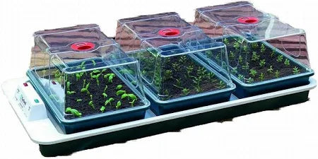 Garland Big 3 Automatic Temperature Control Electric Propagator