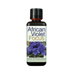 GT African Violet Focus 300ml Growth Technology