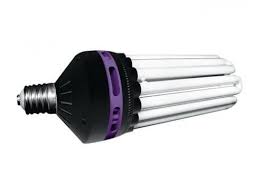 Streetlight 250w CFL (Dual Spectrum Lamp)