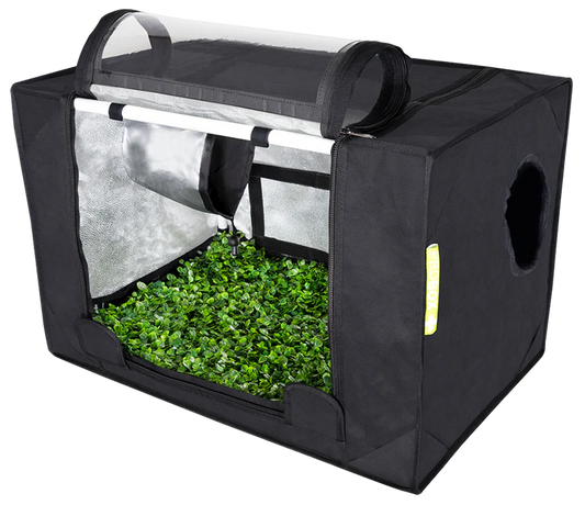 Garden HighPro Probox Propagator (Small) 0.6m x 0.4 x 0.4