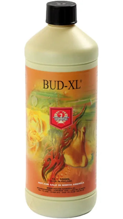 CLEARANCE - House & Garden 1lt Bud XL