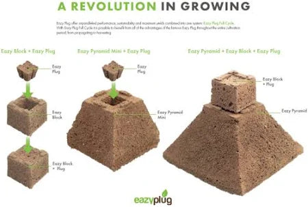 Eazy Pyramid Box of 4