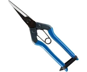 Chikamasa Scissors - TS5 Shears