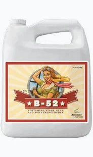 CLEARANCE - Advanced Nutrients B-52 4lt