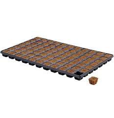 Eazy Plug Tray (Organic Dry) (x24, x77)